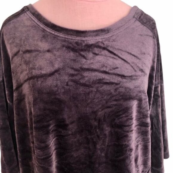 Free People We the Free Valerie Velvet Top Size XS EUC - Picture 4 of 11